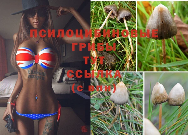 первитин Верхний Тагил