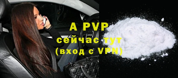 крисы Верея