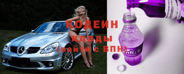 прущие грибы Богданович