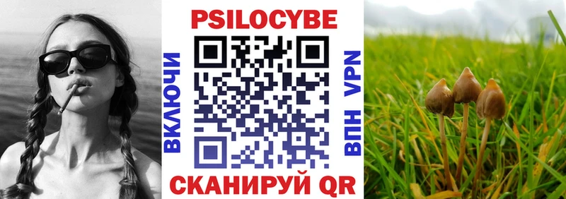 Псилоцибиновые грибы Psilocybine cubensis  Геленджик 